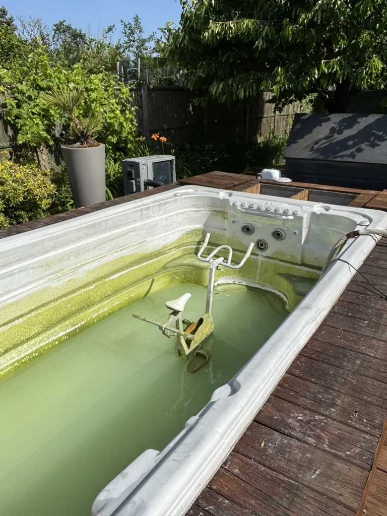 Piscine à l'eau verte avant traitement de l'eau par R2eau