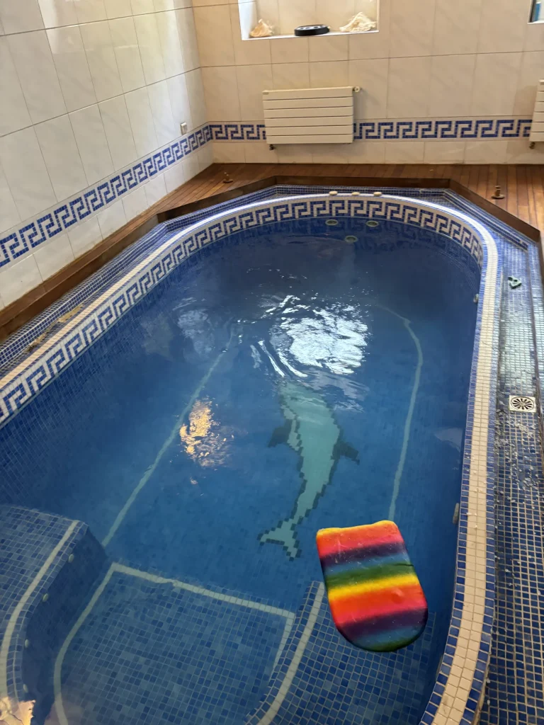 Piscine carrelée bleue propre après entretien R2eau