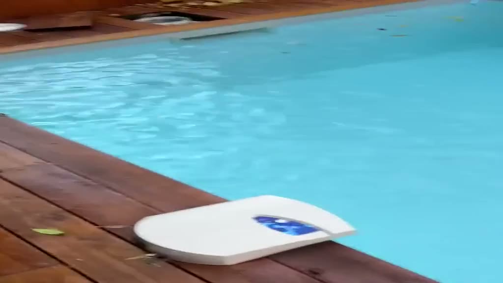 Robot nettoyeur R2eau au travail dans une piscine de cour