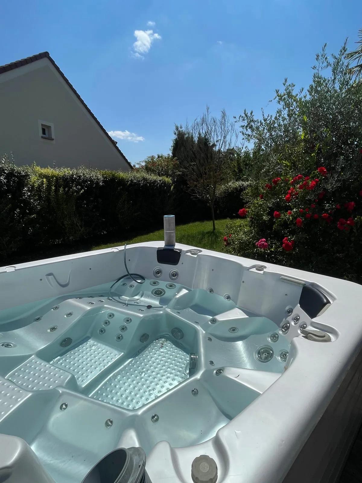 Spa entretenu par R2eau dans un jardin fleuri en Île-de-France